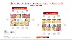 Mặt bằng BV Diamond Hill Thái Nguyên